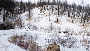 bridger canyon property for sale, bozeman, montana